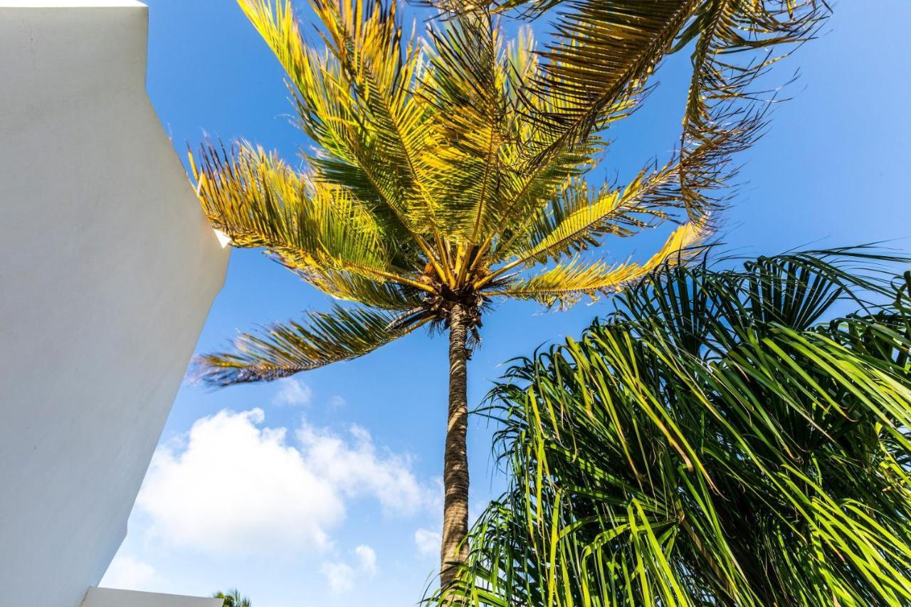Vila Oceanfront 72 & Sunny Kralendijk Exteriér fotografie